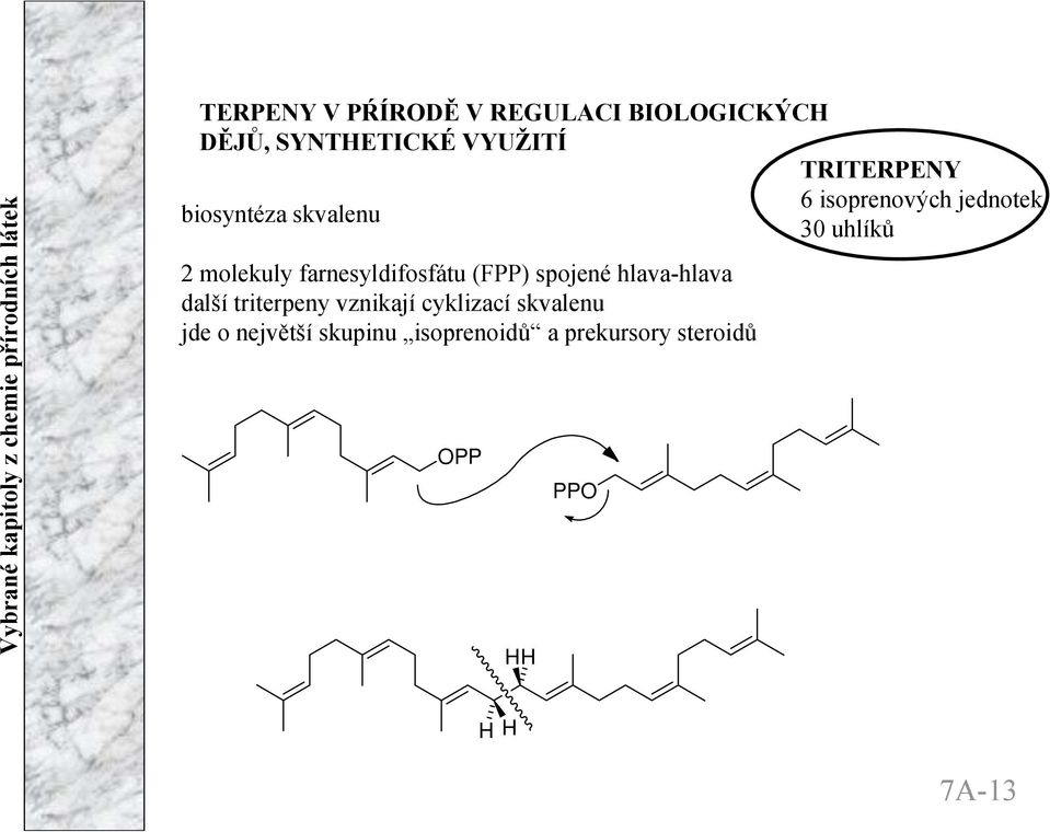 farnesyldifosfátu (FPP) spojené hlava-hlava další triterpeny vznikají