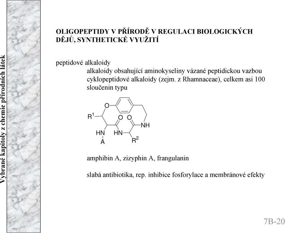 alkaloidy (zejm.