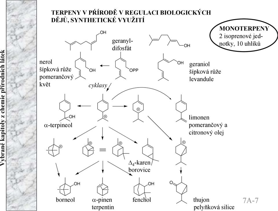 geraniol šípková růže levandule limonen pomerančový a citronový olej MTERPEY 2