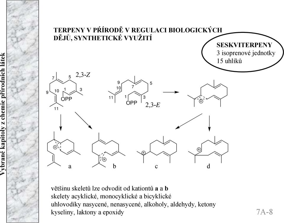 skeletů lze odvodit od kationtů a a b skelety acyklické, monocyklické a bicyklické
