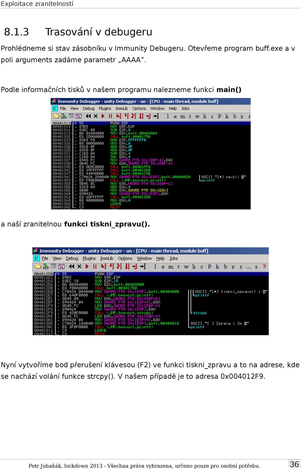 Podle informačních tisků v našem programu nalezneme funkci main() a naší zranitelnou funkci tiskni_zpravu().