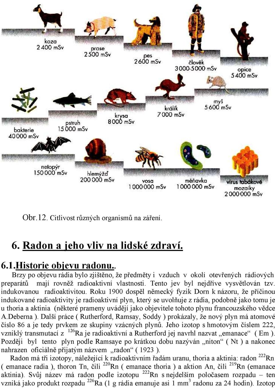 indukovanou radioaktivitou.