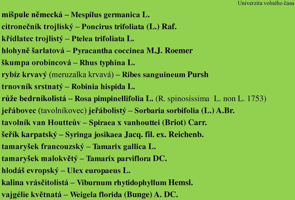 non L. 1753) jeřábovec (tavolníkovec) jeřábolistý Sorbaria sorbifolia (L.) A.Br. tavolník van Houtteův Spiraea x vanhouttei (Briot) Carr. šeřík karpatský Syringa josikaea Jacq. fil. ex. Reichenb.