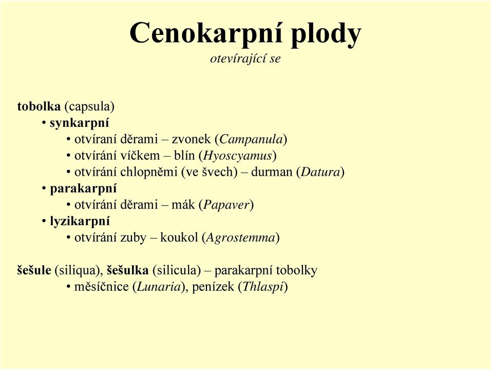 (Datura) parakarpní otvírání děrami mák (Papaver) lyzikarpní otvírání zuby koukol