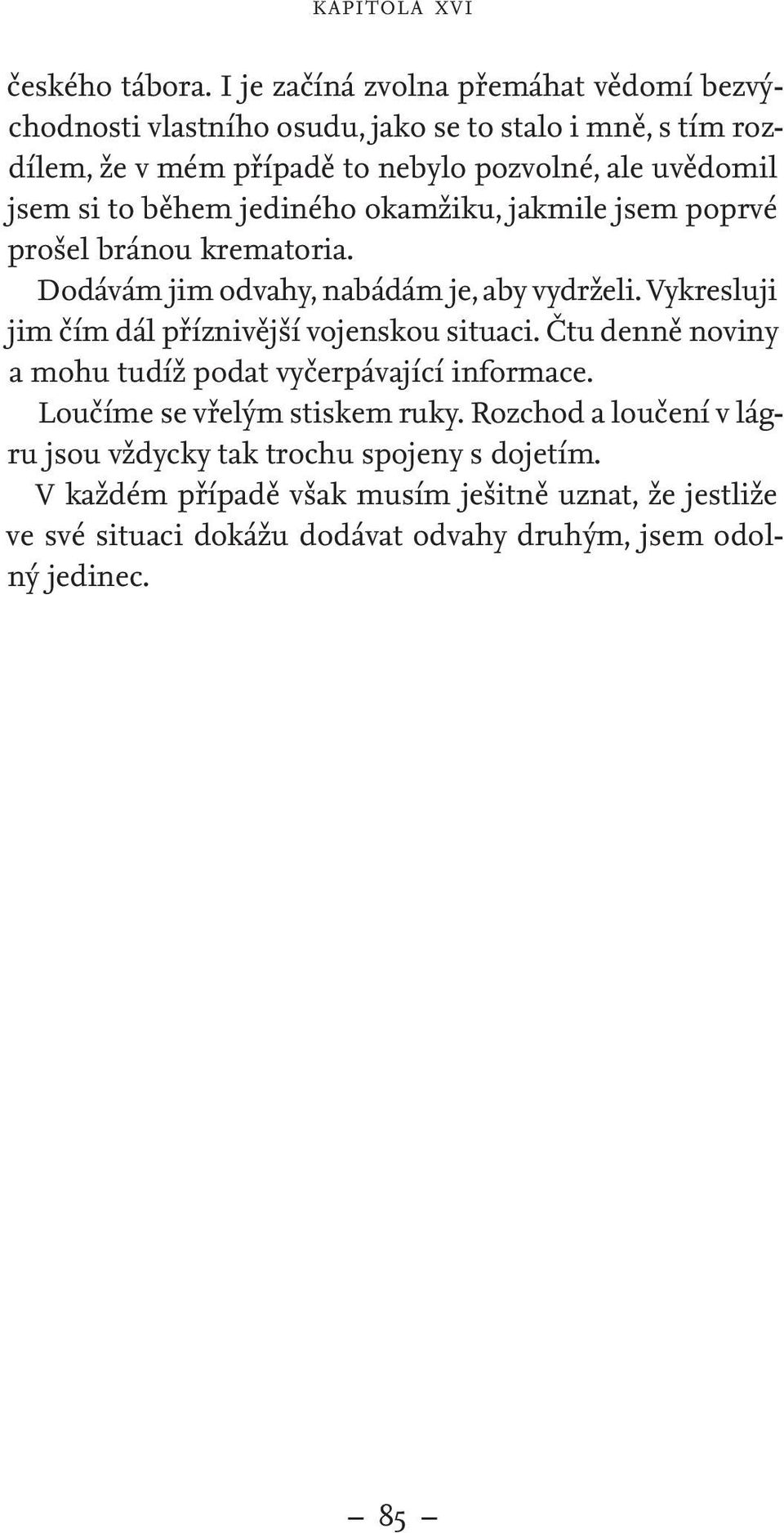 jsem si to během jediného okamžiku, jakmile jsem poprvé prošel bránou krematoria. Dodávám jim odvahy, nabádám je, aby vydrželi.