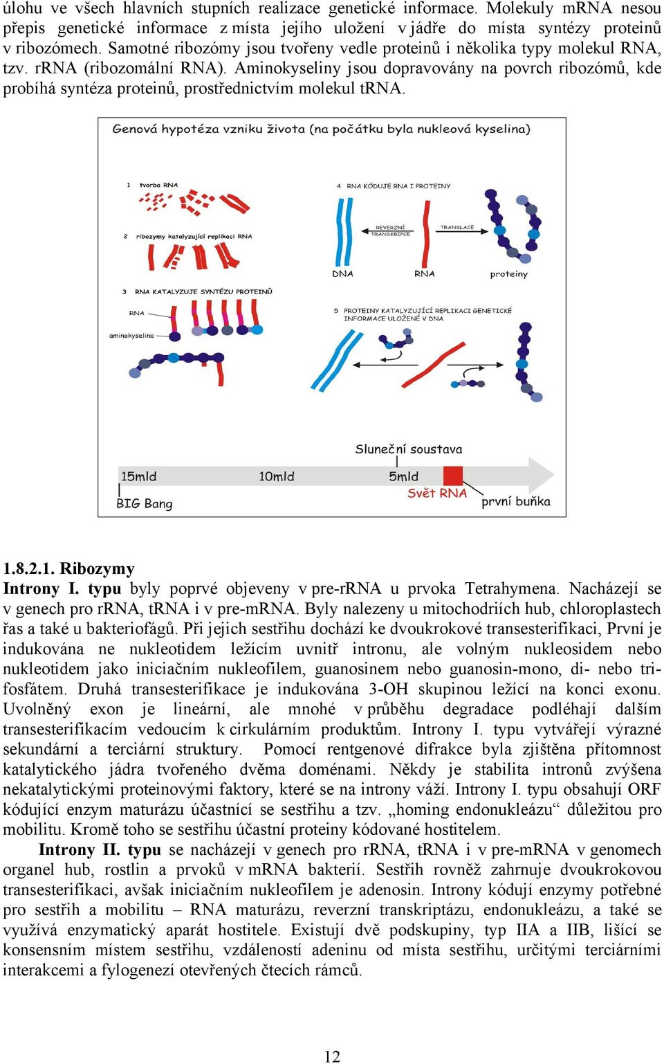 Aminokyseliny jsou dopravovány na povrch ribozómů, kde probíhá syntéza proteinů, prostřednictvím molekul trna. 1.8.2.1. Ribozymy Introny I. typu byly poprvé objeveny v pre-rrna u prvoka Tetrahymena.