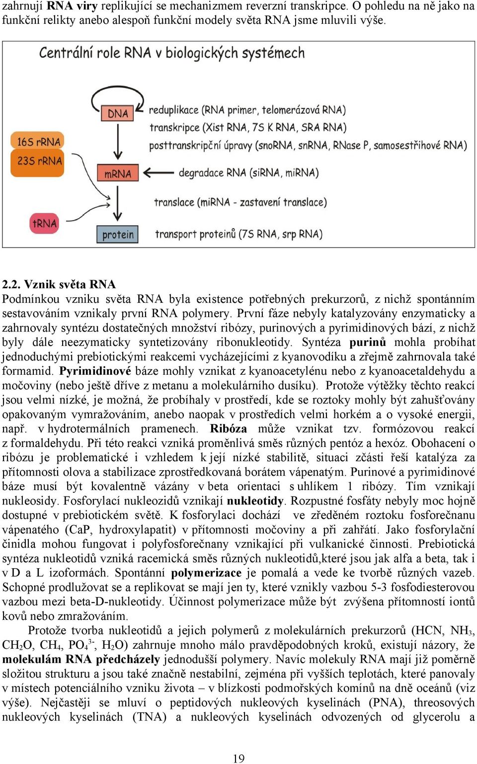 První fáze nebyly katalyzovány enzymaticky a zahrnovaly syntézu dostatečných množství ribózy, purinových a pyrimidinových bází, z nichž byly dále neezymaticky syntetizovány ribonukleotidy.