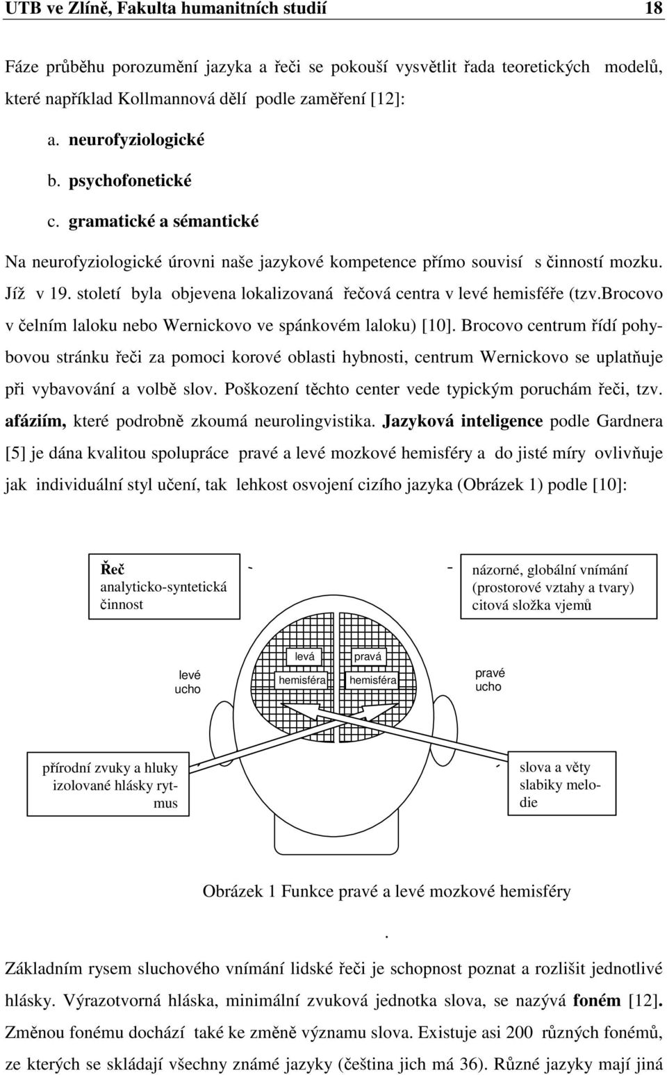 století byla objevena lokalizovaná eová centra v levé hemisfée (tzv.brocovo v elním laloku nebo Wernickovo ve spánkovém laloku) [10].