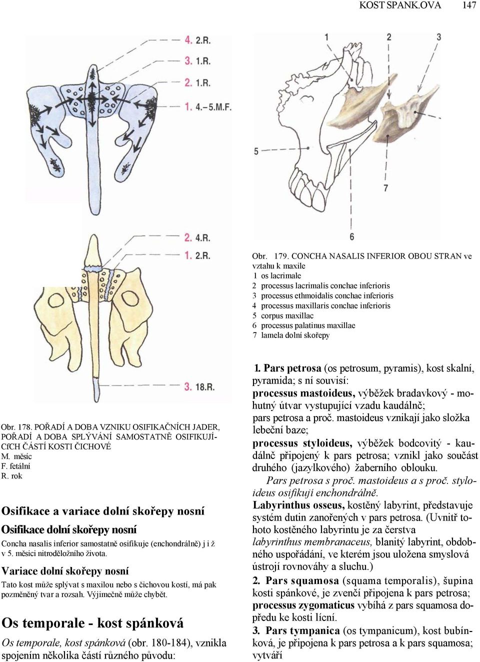 corpus maxillac 6 processus palatinus maxillae 7 lamela dolní skořepy Obr. 178. POŘADÍ A DOBA VZNIKU OSIFIKAČNÍCH JADER, POŘADÍ A DOBA SPLÝVÁNÍ SAMOSTATNĚ OSIFIKUJÍ- CfCH ČÁSTÍ KOSTI ČICHOVÉ M.