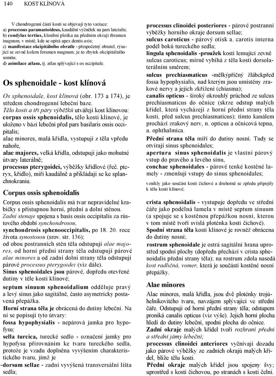 atlasu, tj. atlas splývající s os occipitale. Os sphenoidale - kost klínová Os sphenoidale, kost klínová (obr. 173 a 174), je středem chondrogenní lebeční baze.