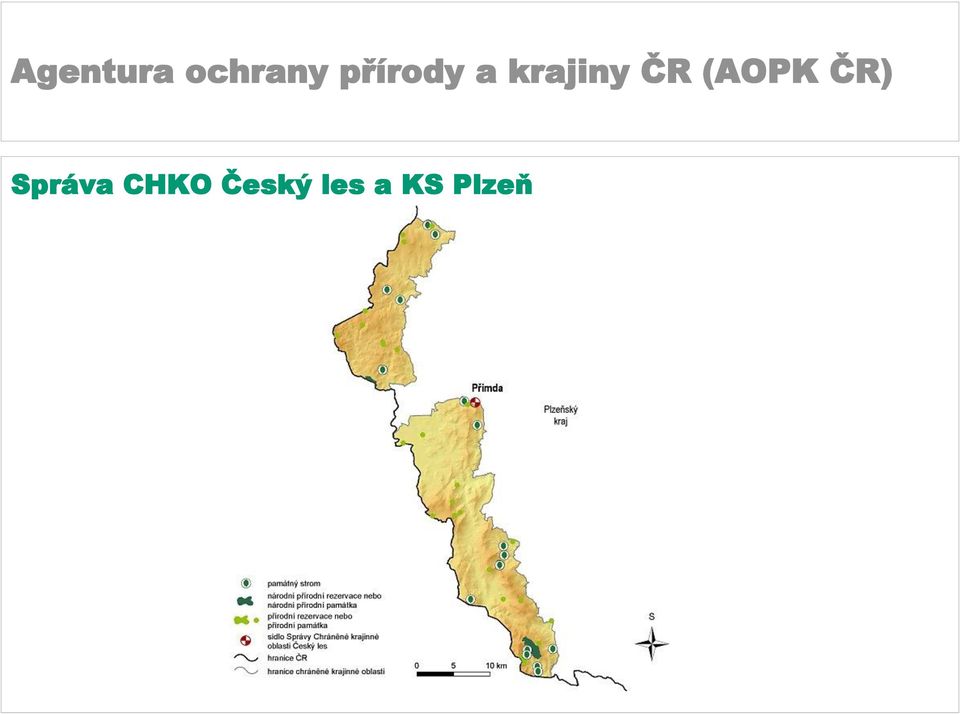 Český les