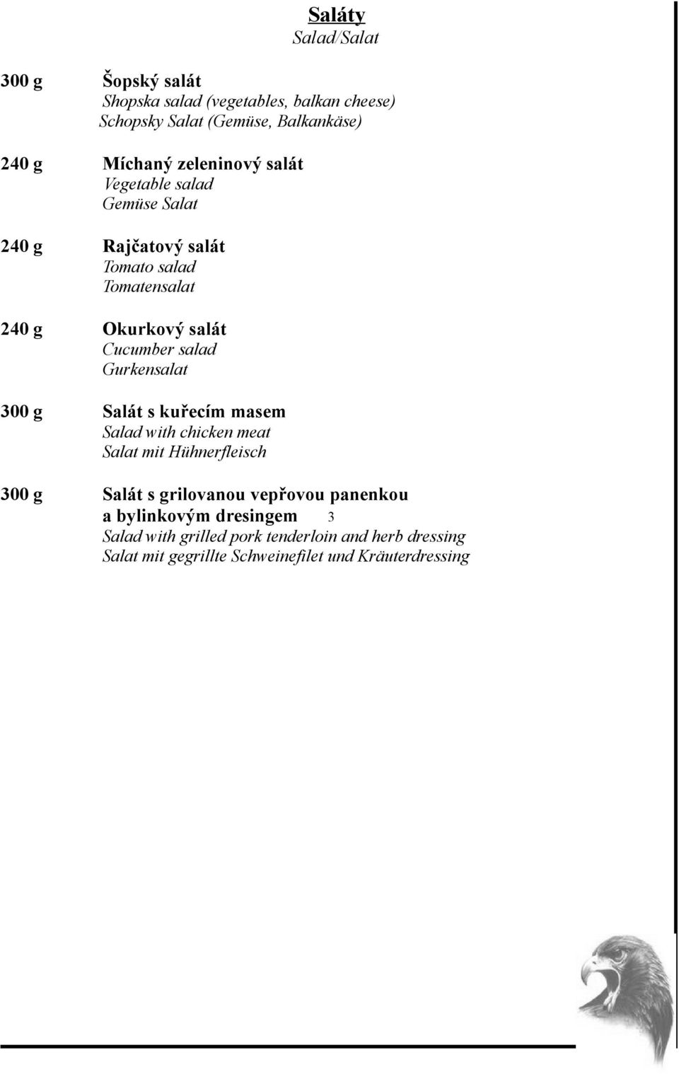 Gurkensalat 300 g Salát s kuřecím masem Salad with chicken meat Salat mit Hühnerfleisch 300 g Salát s grilovanou vepřovou panenkou