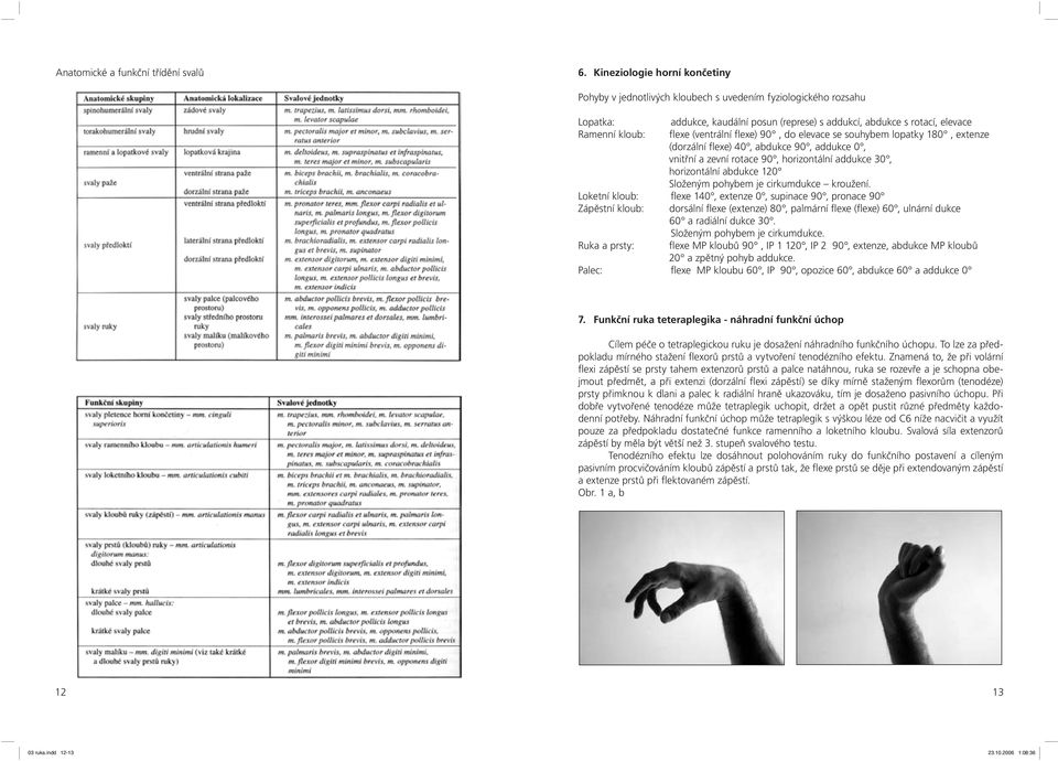 (ventrální flexe) 90, do elevace se souhybem lopatky 180, extenze (dorzální flexe) 40, abdukce 90, addukce 0, vnitřní a zevní rotace 90, horizontální addukce 30, horizontální abdukce 120 Složeným