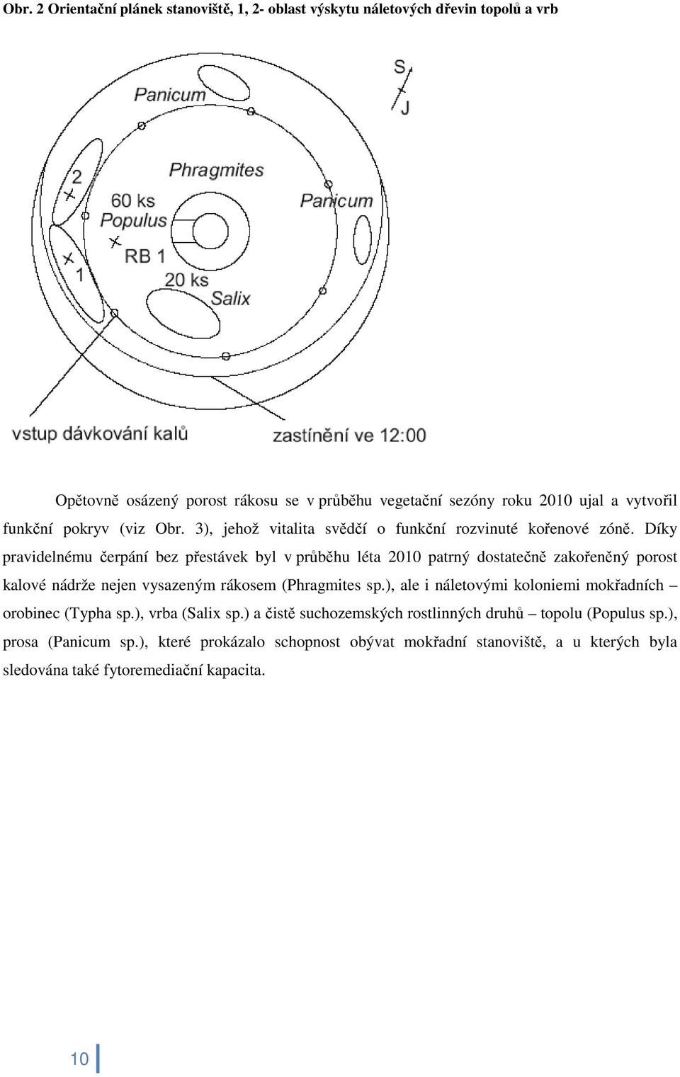 Díky pravidelnému čerpání bez přestávek byl v průběhu léta 2010 patrný dostatečně zakořeněný porost kalové nádrže nejen vysazeným rákosem (Phragmites sp.