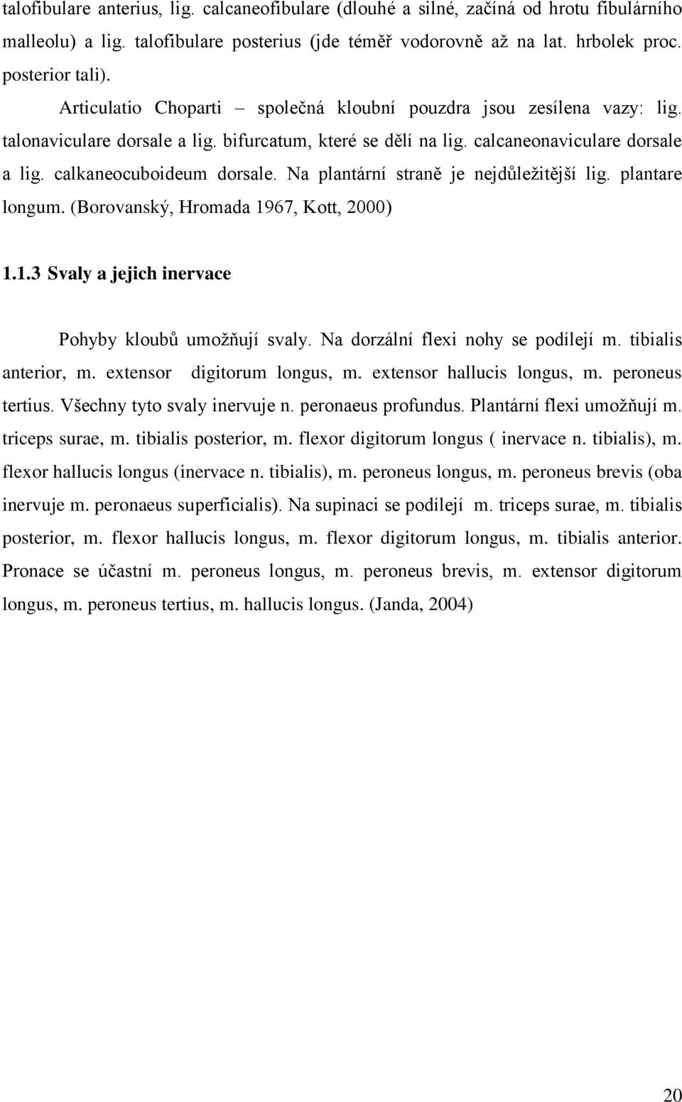 Na plantární straně je nejdůleţitější lig. plantare longum. (Borovanský, Hromada 1967, Kott, 2000) 1.1.3 Svaly a jejich inervace Pohyby kloubů umoţňují svaly. Na dorzální flexi nohy se podílejí m.