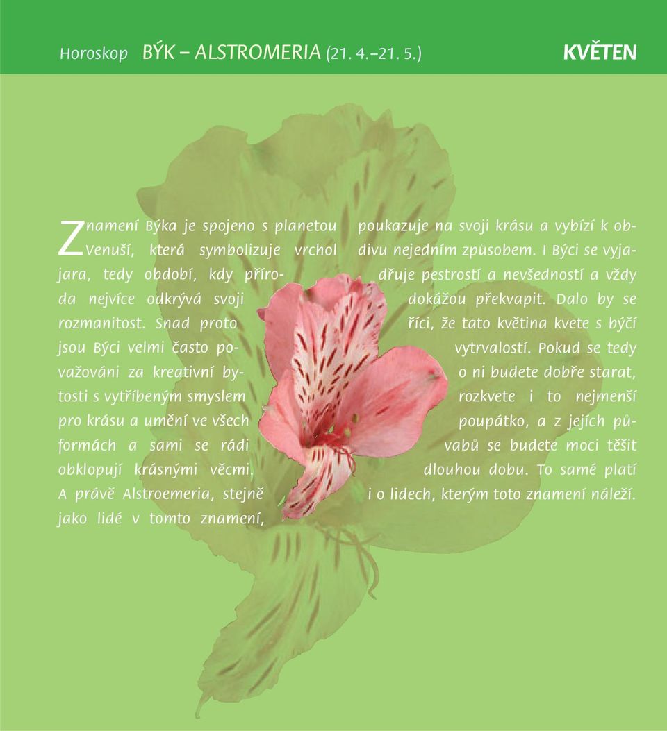 A právě Alstroemeria, stejně jako lidé v tomto znamení, poukazuje na svoji krásu a vybízí k obdivu nejedním způsobem. I Býci se vyjadřuje pestrostí a nevšedností a vždy dokážou překvapit.