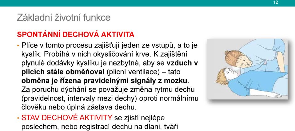 K zajištění plynulé dodávky kyslíku je nezbytné, aby se vzduch v plicích stále obměňoval (plicní ventilace) tato obměna je řízena