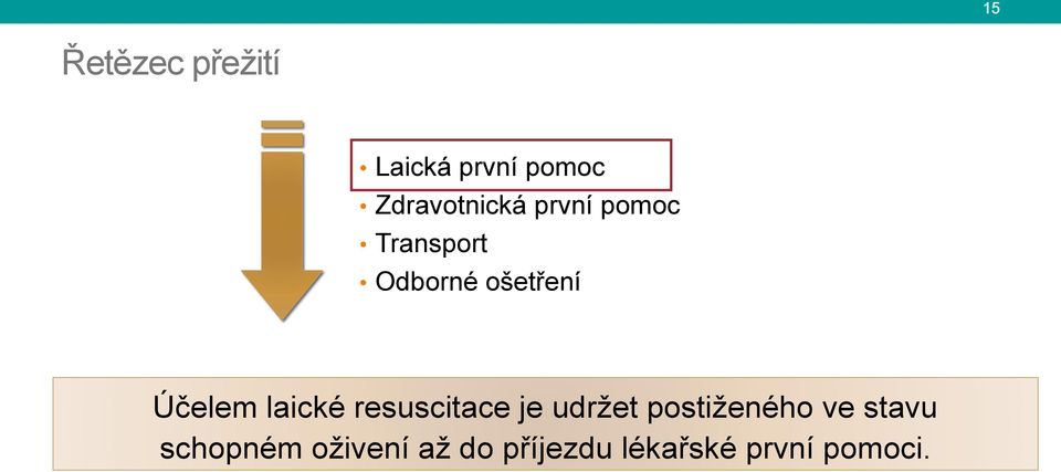 laické resuscitace je udržet postiženého ve stavu