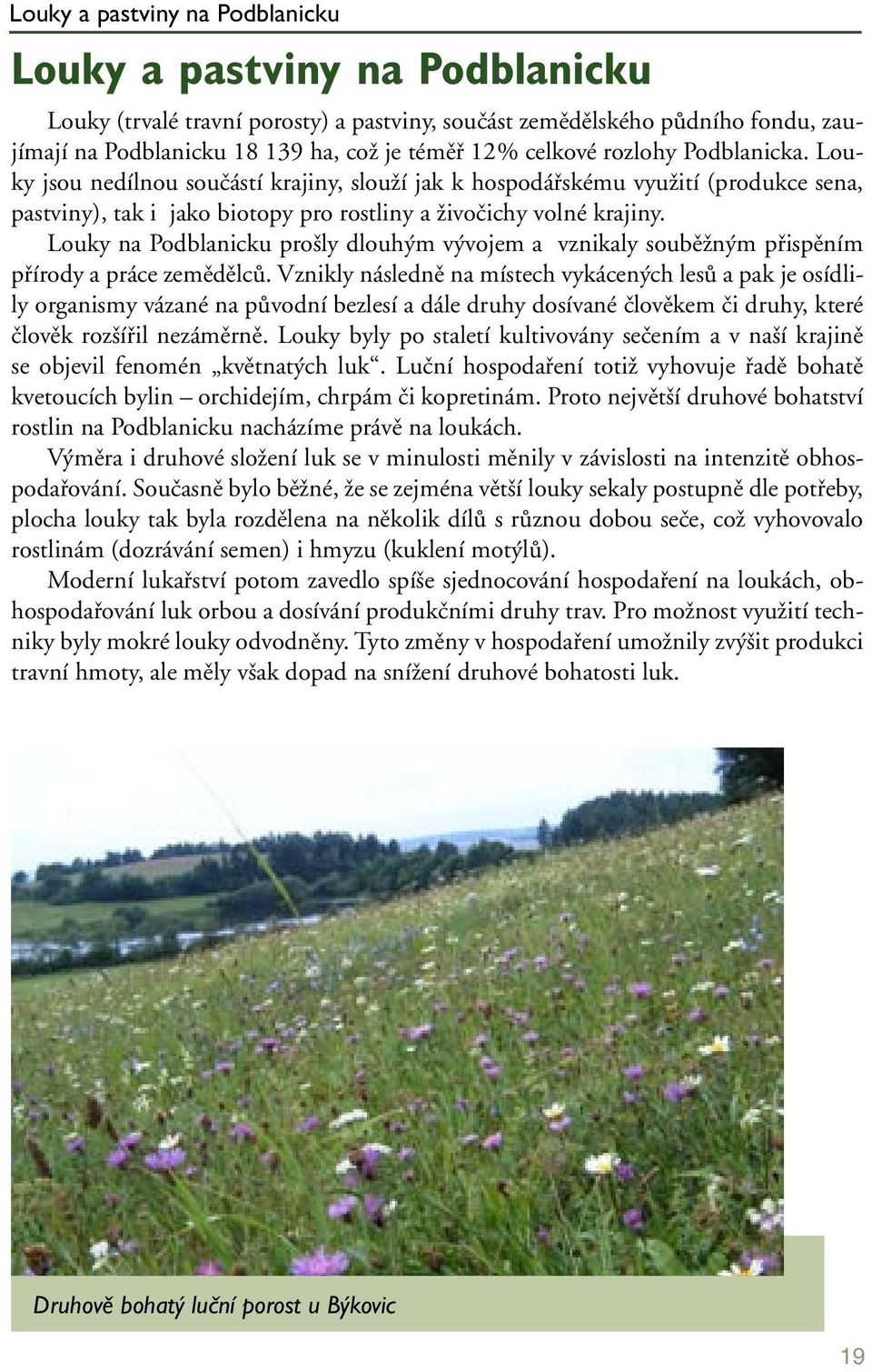 Louky na Podblanicku prošly dlouhým vývojem a vznikaly souběžným přispěním přírody a práce zemědělců.