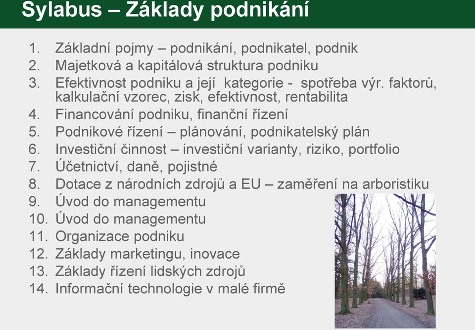 Podnikové řízení plánování, podnikatelský plán 6. Investiční činnost investiční varianty, riziko, portfolio 7. Účetnictví, daně, pojistné 8.