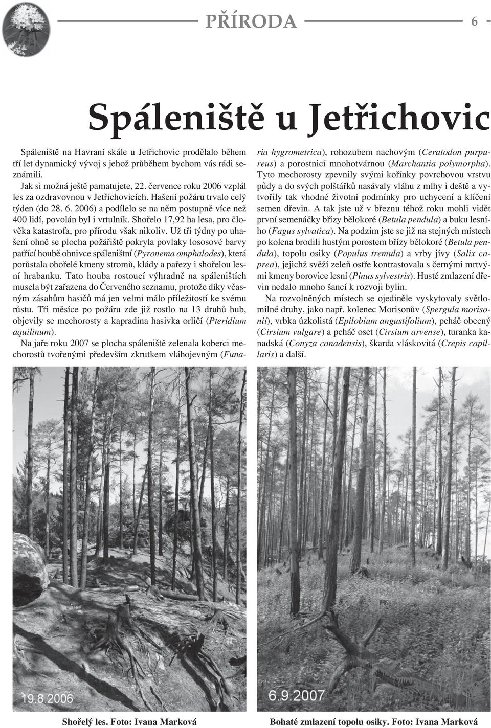 Shořelo 17,92 ha lesa, pro člověka katastrofa, pro přírodu však nikoliv.