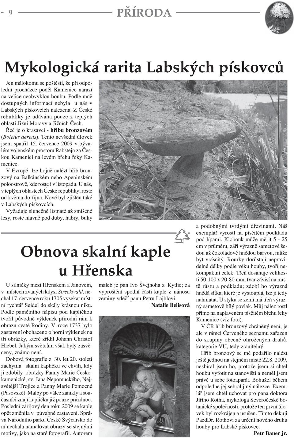 Řeč je o krasavci - hřibu bronzovém (Boletus aereus). Tento nevšední úlovek jsem spatřil 15. července 2009 v bývalém vojenském prostoru Rabštejn za Českou Kamenicí na levém břehu řeky Kamenice.