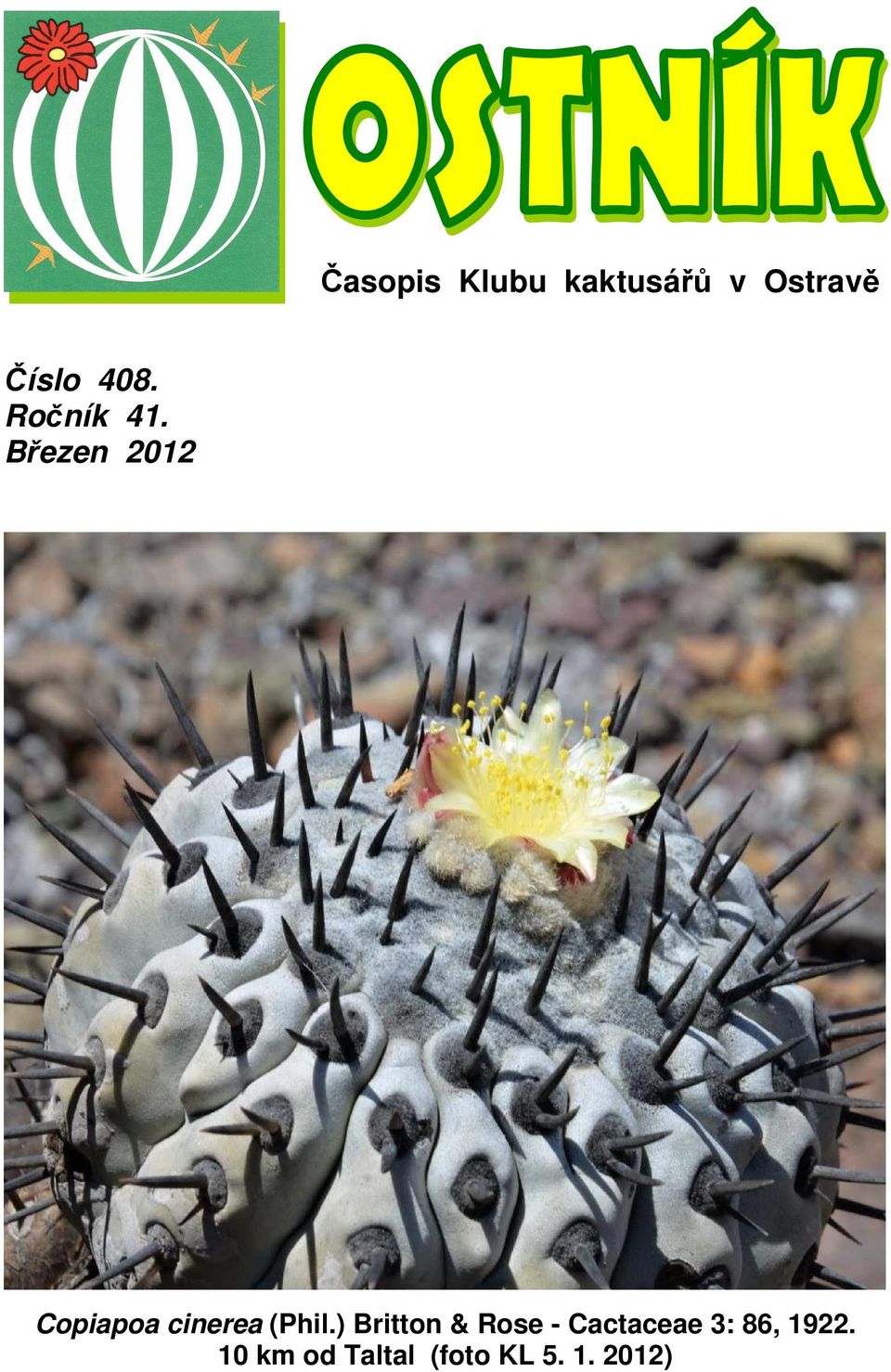 Březen 2012 Copiapoa cinerea (Phil.