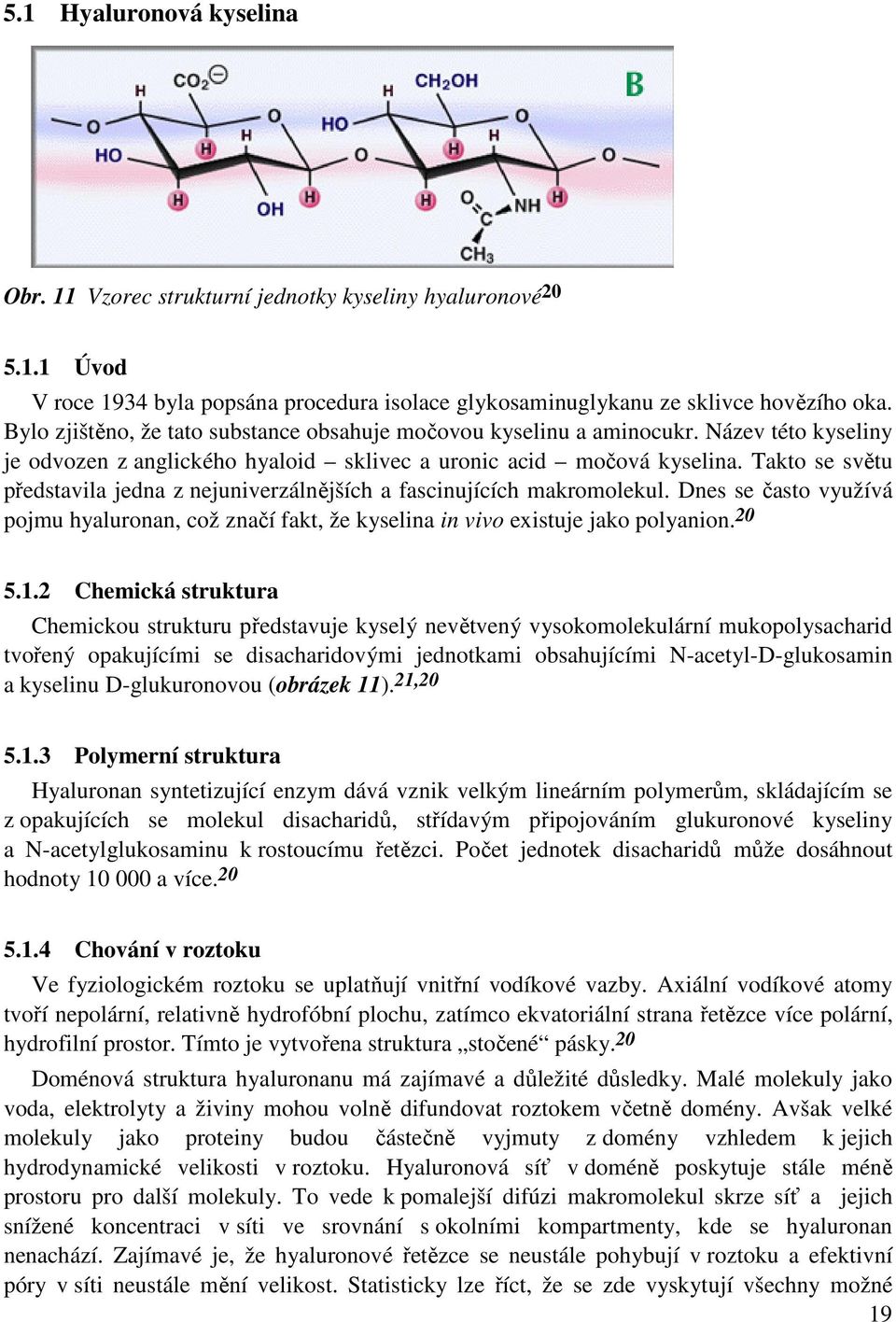 Takto se světu představila jedna z nejuniverzálnějších a fascinujících makromolekul. Dnes se často využívá pojmu hyaluronan, což značí fakt, že kyselina in vivo existuje jako polyanion. 20 5.1.