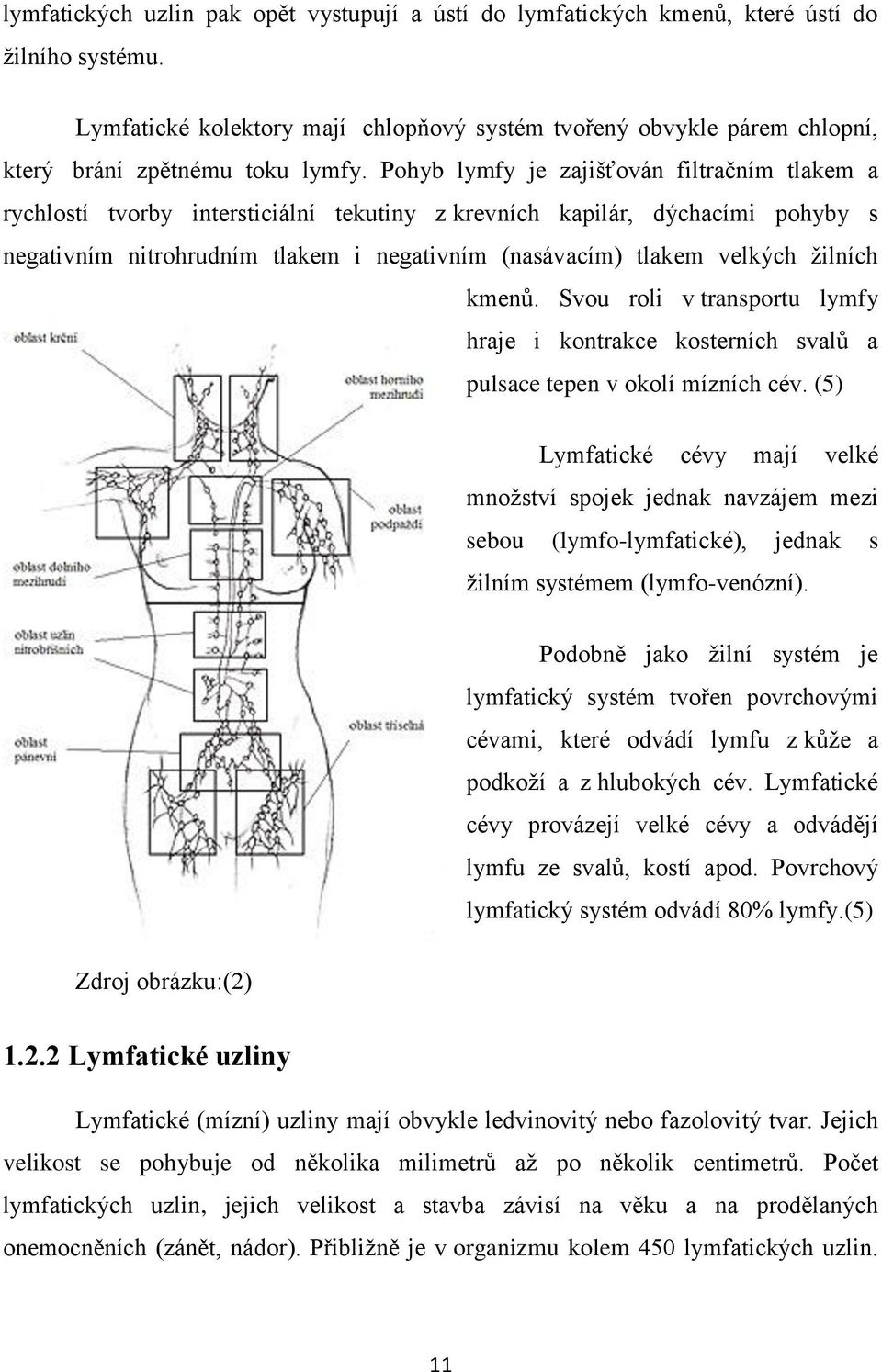 Pohyb lymfy je zajišťován filtračním tlakem a rychlostí tvorby intersticiální tekutiny z krevních kapilár, dýchacími pohyby s negativním nitrohrudním tlakem i negativním (nasávacím) tlakem velkých