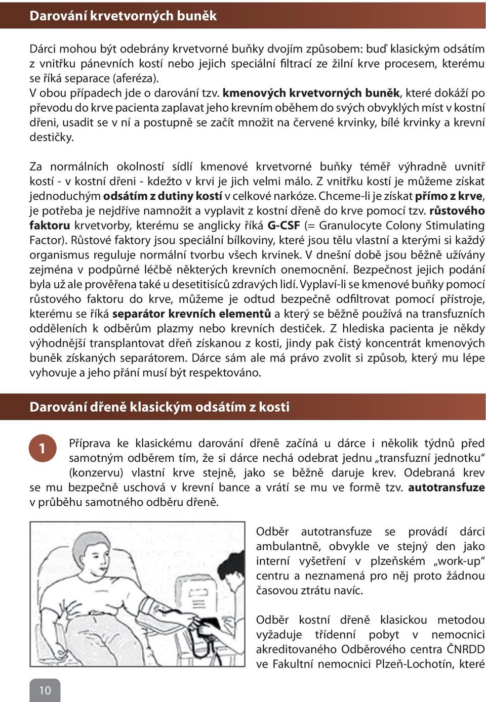 kmenových krvetvorných buněk, které dokáží po převodu do krve pacienta zaplavat jeho krevním oběhem do svých obvyklých míst v kostní dřeni, usadit se v ní a postupně se začít množit na červené