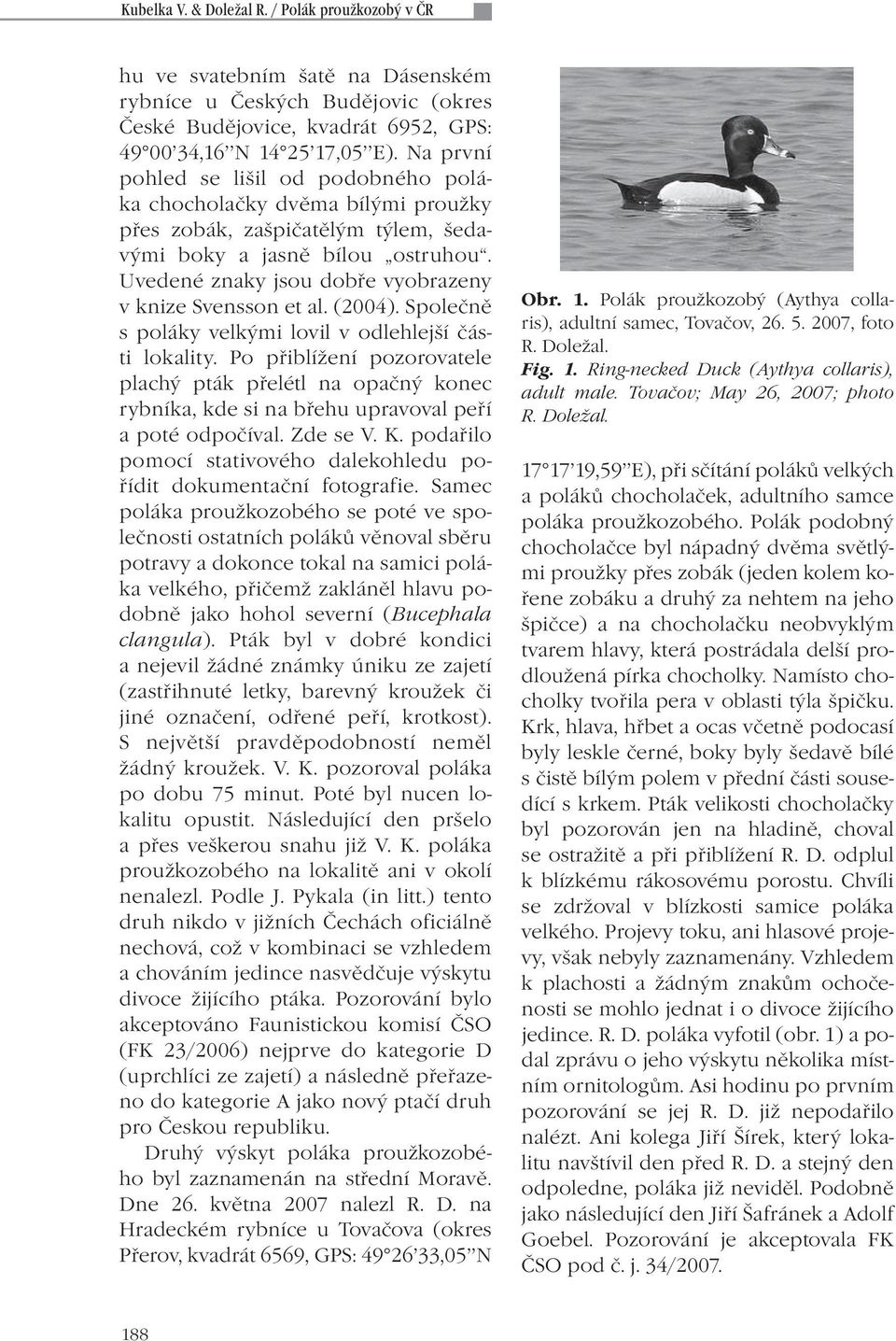 Uvedené znaky jsou dobře vyobrazeny v knize Svensson et al. (2004). Společně s poláky velkými lovil v odlehlejší části lokality.