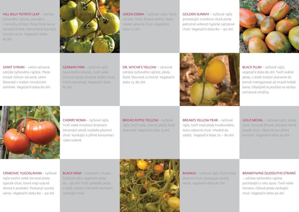 Vegetační doba 80 90 dní. giant SyRIAN velice výnosná odrůda tyčkového rajčete. Plody tmavě růžovo-červené, velmi šťavnaté s malým množstvím semínek. Vegetační doba 80 dní.