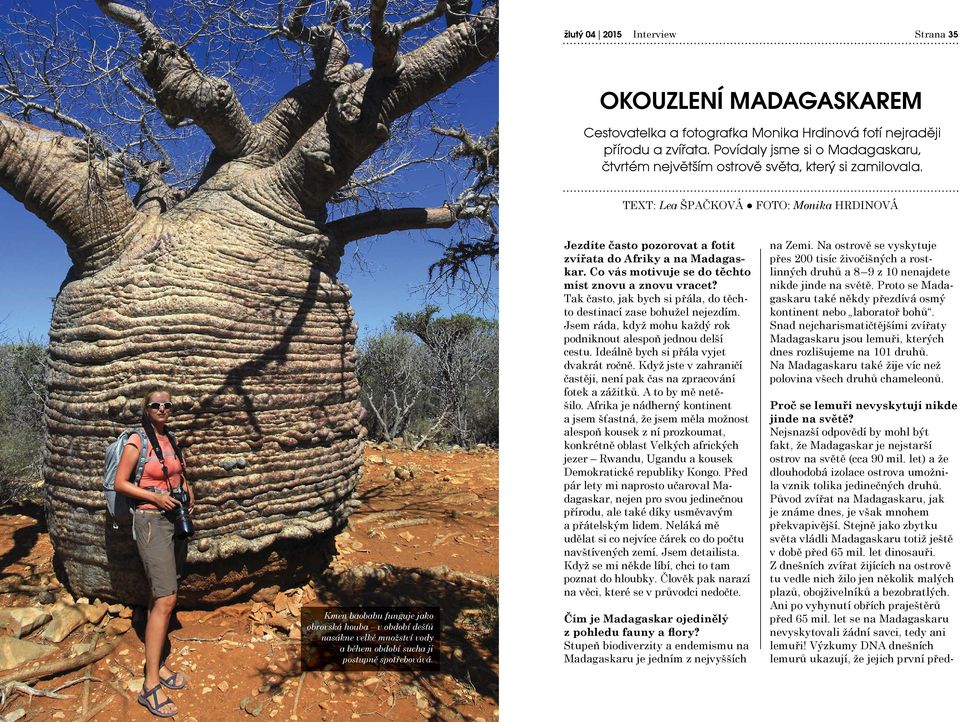 TEXT: Lea ŠPAČKOVÁ FOTO: Monika HRDINOVÁ Kmen baobabu funguje jako obrovská houba v období dešťů nasákne velké množství vody a během období sucha ji postupně spotřebovává.