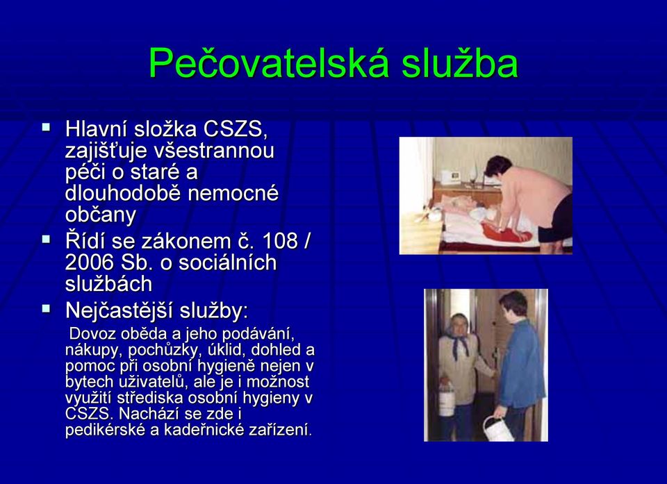 o sociálních službách Nejčastější služby: Dovoz oběda a jeho podávání, nákupy, pochůzky, úklid,