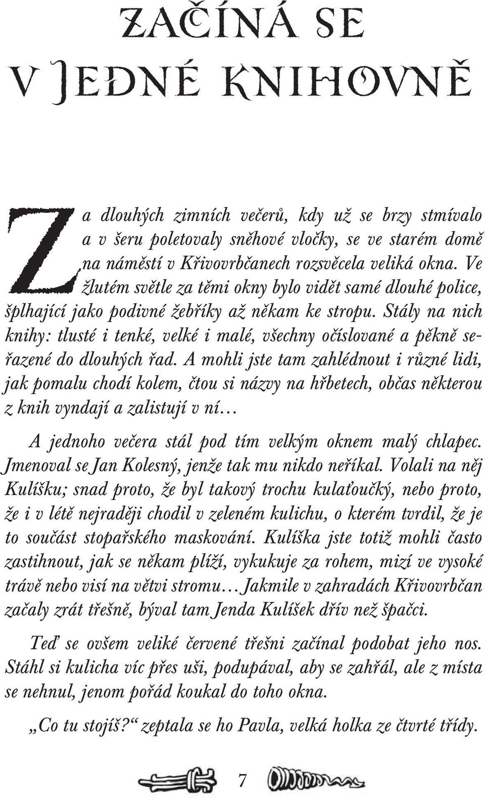 Stály na nich knihy: tlusté i tenké, velké i malé, všechny očíslované a pěkně seřazené do dlouhých řad.