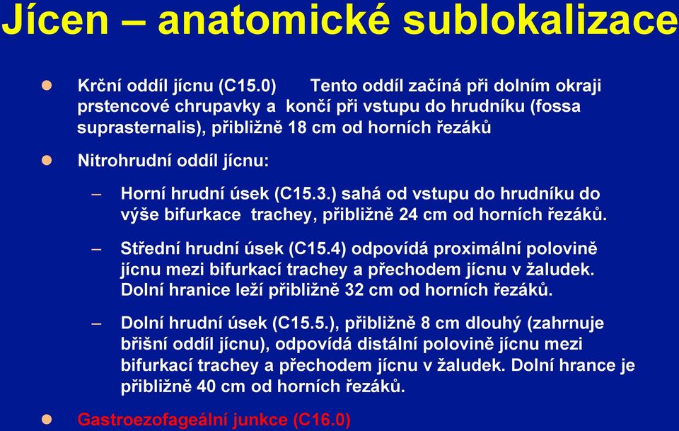 úsek (C15.3.) sahá od vstupu do hrudníku do výše bifurkace trachey, přibližně 24 cm od horních řezáků. Střední hrudní úsek (C15.