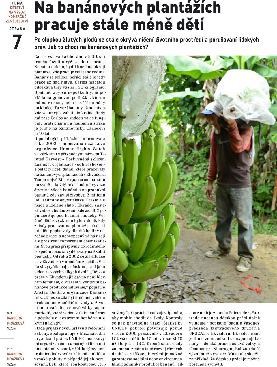 Nemá to daleko, bydlí hned na okraji plantáže, kde pracuje celá jeho rodina. Banány se sklízejí pořád, stále je tedy práce až nad hlavu. Carlos mačetou odsekává trsy vážící i 30 kilogramů.