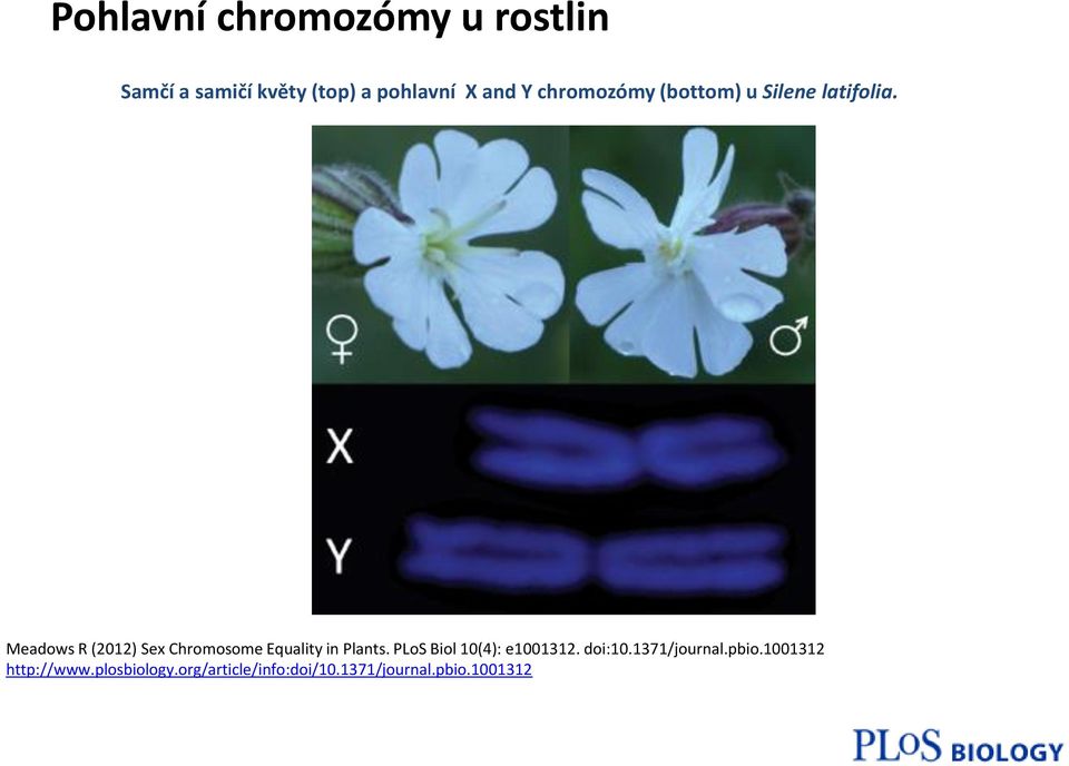 Meadows R (2012) Sex Chromosome Equality in Plants.