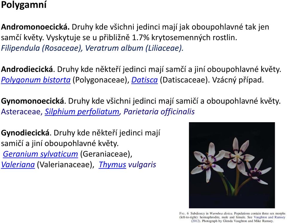 Polygonum bistorta (Polygonaceae), Datisca (Datiscaceae). Vzácný případ. Gynomonoecická. Druhy kde všichni jedinci mají samičí a oboupohlavné květy.