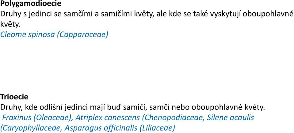 Cleome spinosa (Capparaceae) Trioecie Druhy, kde odlišní jedinci mají buď samičí,