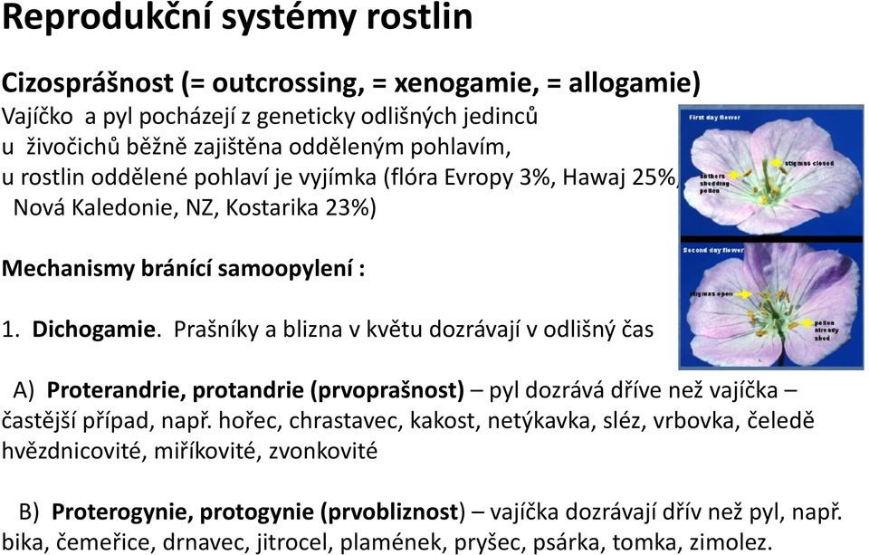 Prašníky a blizna v květu dozrávají v odlišný čas A) Proterandrie, protandrie (prvoprašnost) pyl dozrává dříve než vajíčka častější případ, např.