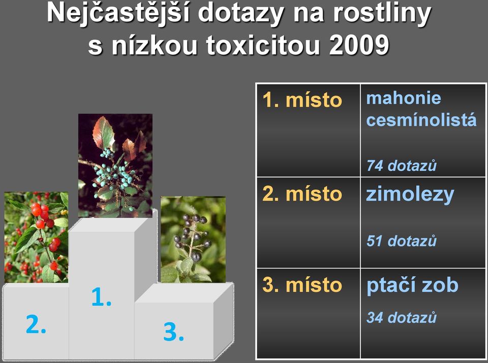 místo mahonie cesmínolistá 74 dotazů