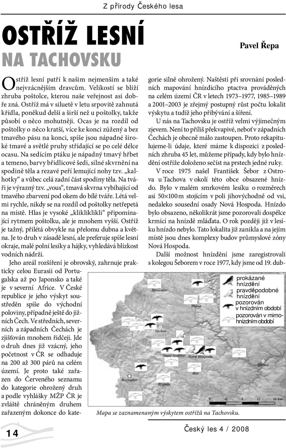 Ocas je na rozdíl od poštolky o něco kratší, více ke konci zúžený a bez tmavého pásu na konci, spíše jsou nápadné široké tmavé a světlé pruhy střídající se po celé délce ocasu.