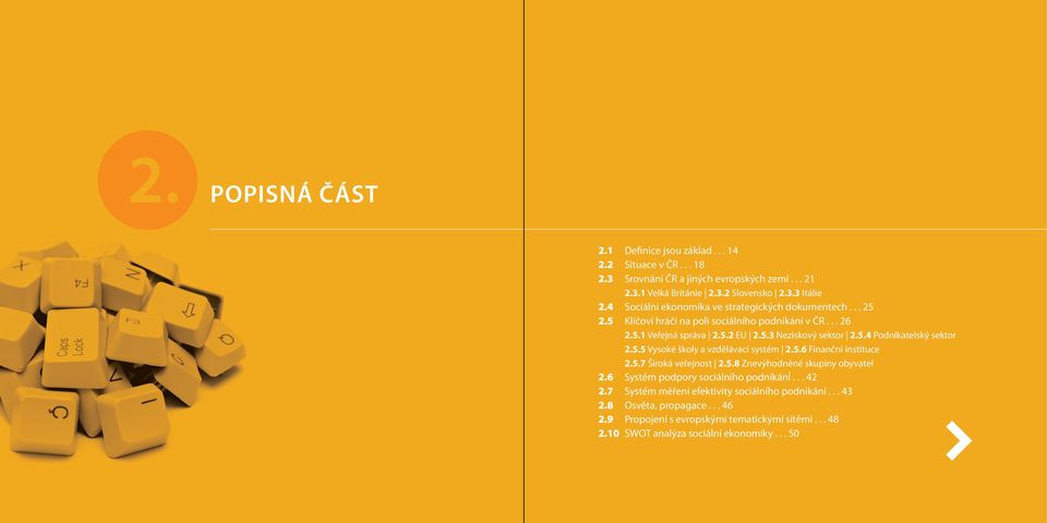 5.5 Vysoké školy a vzdělávací systém 2.5.6 Finanční instituce 2.5.7 Široká veřejnost 2.5.8 Znevýhodněné skupiny obyvatel 2.6 Systém podpory sociálního podnikání... 42 2.