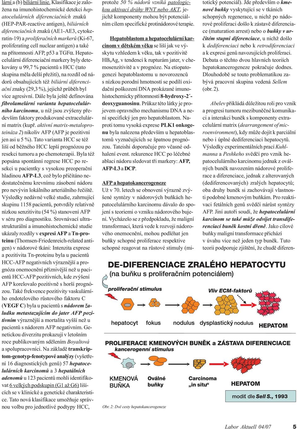 markerù (Ki-67, proliferating cell nuclear antigen) a také na pøítomnosti AFP, p53 a TGFα.