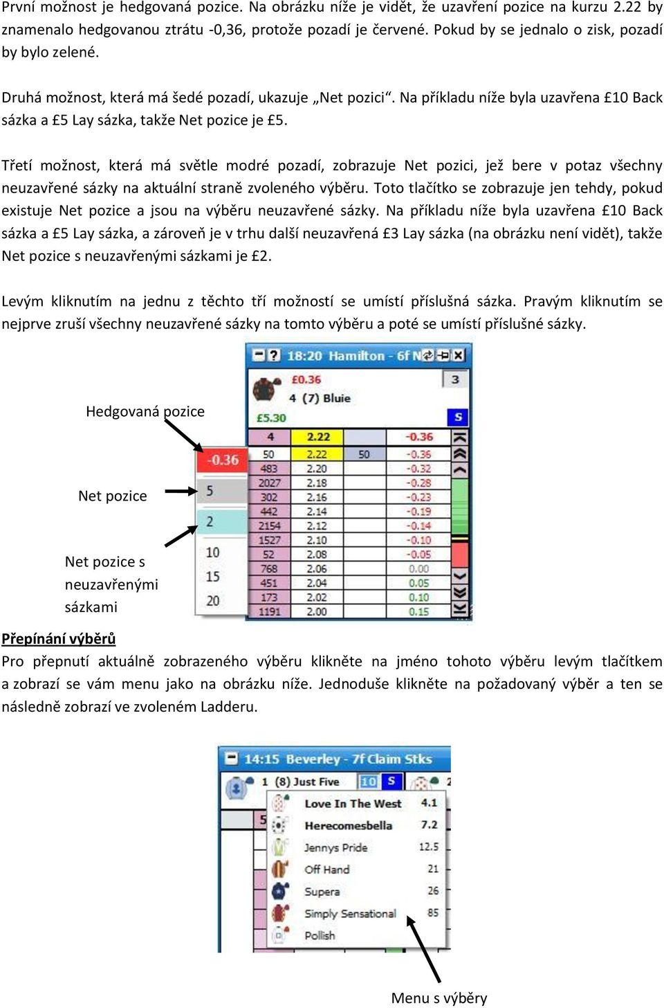 Třetí možnost, která má světle modré pozadí, zobrazuje Net pozici, jež bere v potaz všechny neuzavřené sázky na aktuální straně zvoleného výběru.