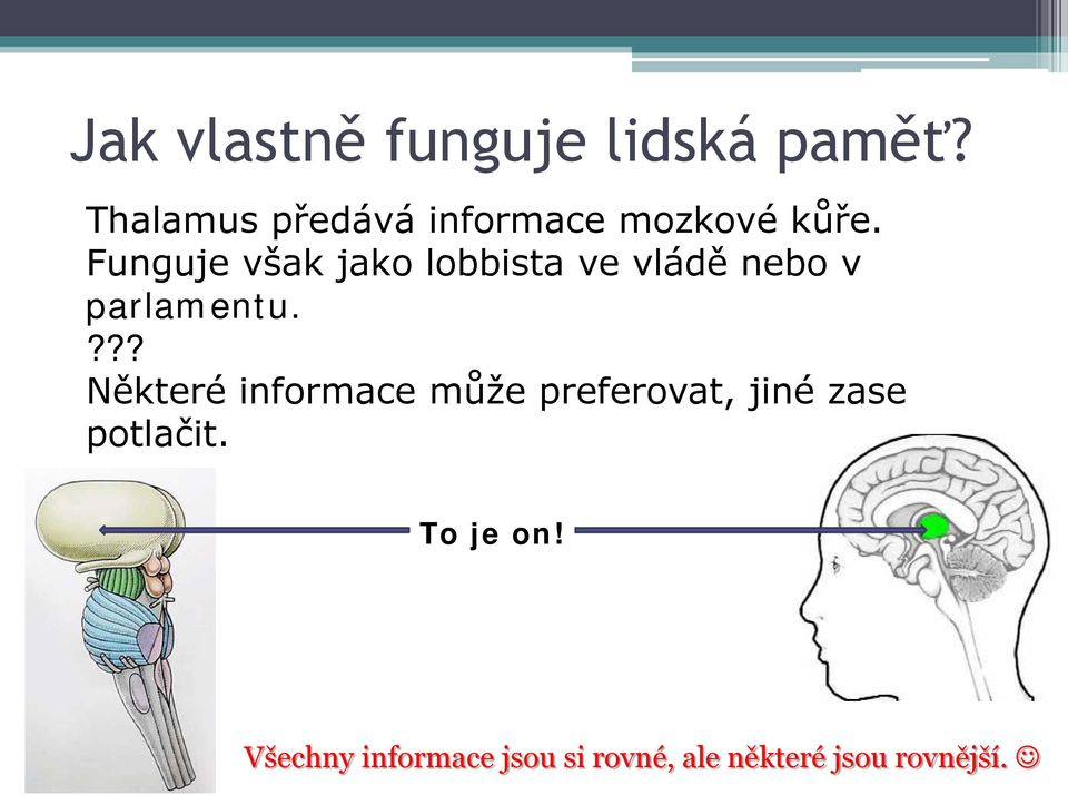 Funguje však jako lobbista ve vládě nebo v parlamentu.