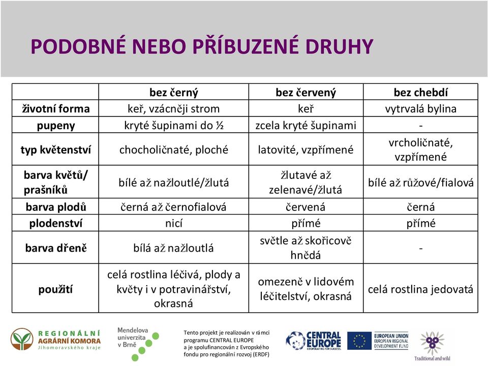 bílá až nažloutlá použití celá rostlina léčivá, plody a květy i v potravinářství, okrasná žlutavé až zelenavé/žlutá červená přímé světle až skořicově