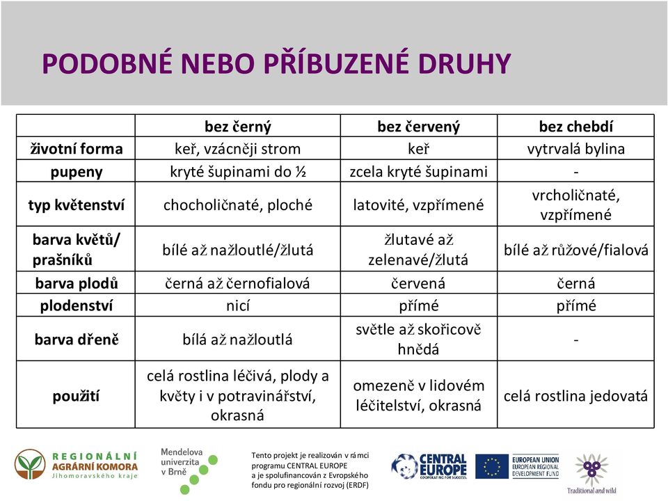 bílá až nažloutlá použití celá rostlina léčivá, plody a květy i v potravinářství, okrasná žlutavé až zelenavé/žlutá červená přímé světle až skořicově