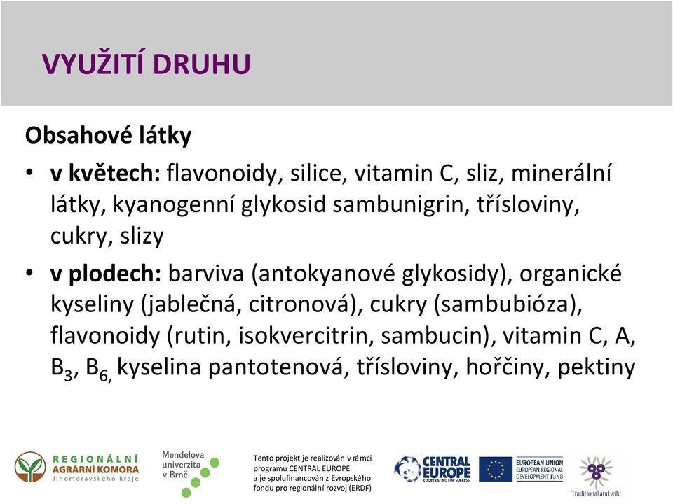 glykosidy), organické kyseliny (jablečná, citronová), cukry (sambubióza), flavonoidy (rutin,